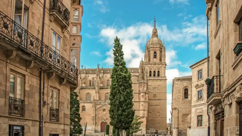 Cathèdrales de Salamanque