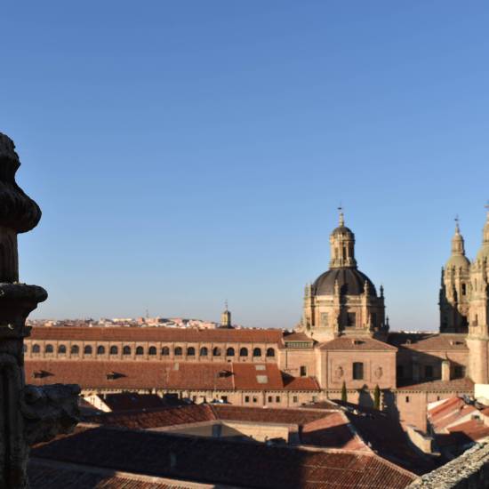 Salamanca Cathedral and Ieronimus Towers guided tour - Things to do in Salamanca
