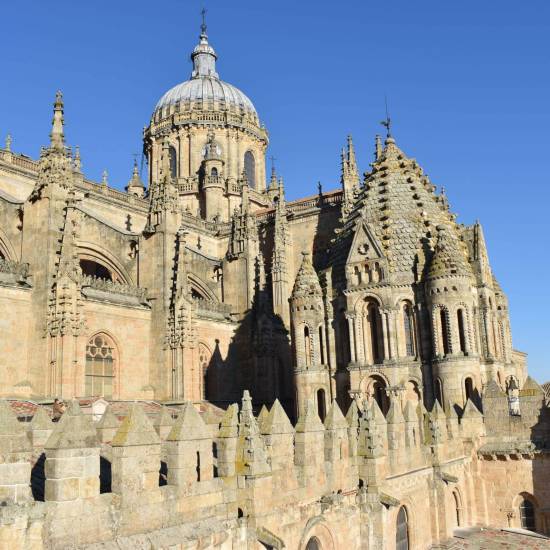 Cathedrals and Ieronimus tour Salamanca